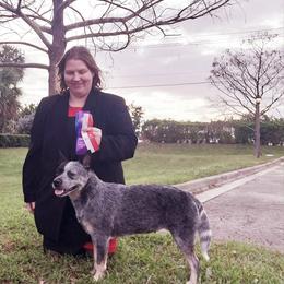Australian Cattle Dog All Grown Up from Scrappington Kennels
