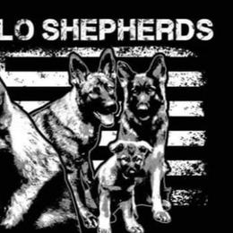 German Shepherds from Von Mello Shepherds