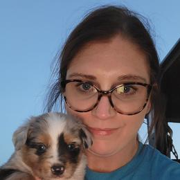 Australian Shepherd Puppies from Rustic Roots Australian Shepherds