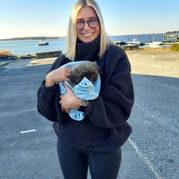 Shih Tzu Puppies from N.F.S.T Imperial ShihTzu Puppies.