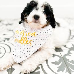 Bernedoodle and Goldendoodle Puppies from Sunkissed Doodles