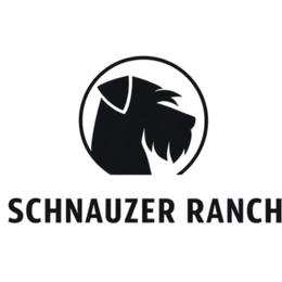 Female 1 pepper and salt - Pepper and salt female Giant Schnauzer puppy in St George, Utah from Schnauzer Ranch