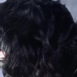 Black Russian Terriers from Amethyst Black Russian Terriers