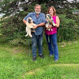 Miss Green - Blue merle female Aussiedoodle puppy in Williamsburg, Iowa from Terry Lynn's Aussiedoodles/My Blue Dog Ranch