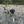 Unnamed