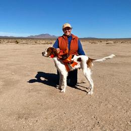 Irish Red and White Setter All Grown Up from Renegade Red & White Setters