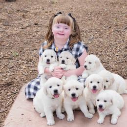 German Shepherd and Golden Retriever Puppies from Sweetheart Therapy Dogs LLC