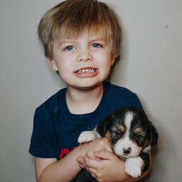 American Corgi, Pembroke Welsh Corgi, and Yorkshire Terrier Puppies from Ingram's Corgis & Yorkies