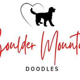 Goldendoodles from Boulder Mountain Doodles