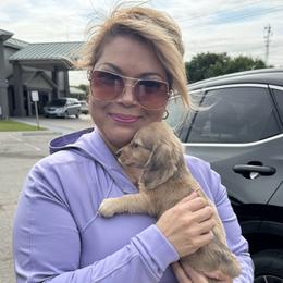 Lily AKC Cream - Cream female Dachshund puppy in Magnolia, Texas from J&R Macias Dachshunds