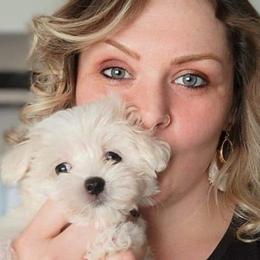 Maltese from Amanda's Sugar Sweet Puppies