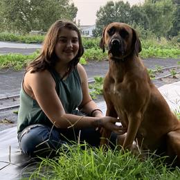 Rhodesian Ridgebacks from Ridgeback Farm