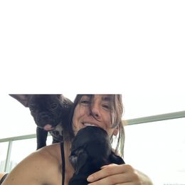 French Bulldog Puppies from Luna and London’s Puppies