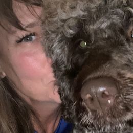 River - Portuguese Water Dog