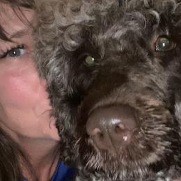 River - Portuguese Water Dog