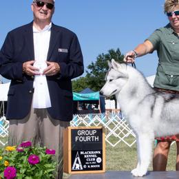 Siberian Huskies from Echoing Wind siberians