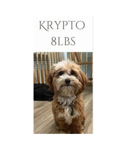 Krypto