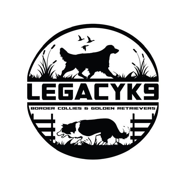 Legacy k9 store