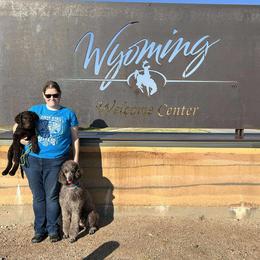 Curly-Coated Retriever Puppies from Betacoil Curly Coated Retrievers