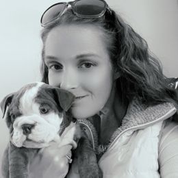 Bulldog Puppies from Snuggle Pups