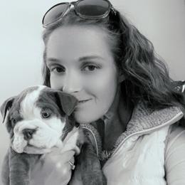 Bulldog Puppies from Snuggle Pups