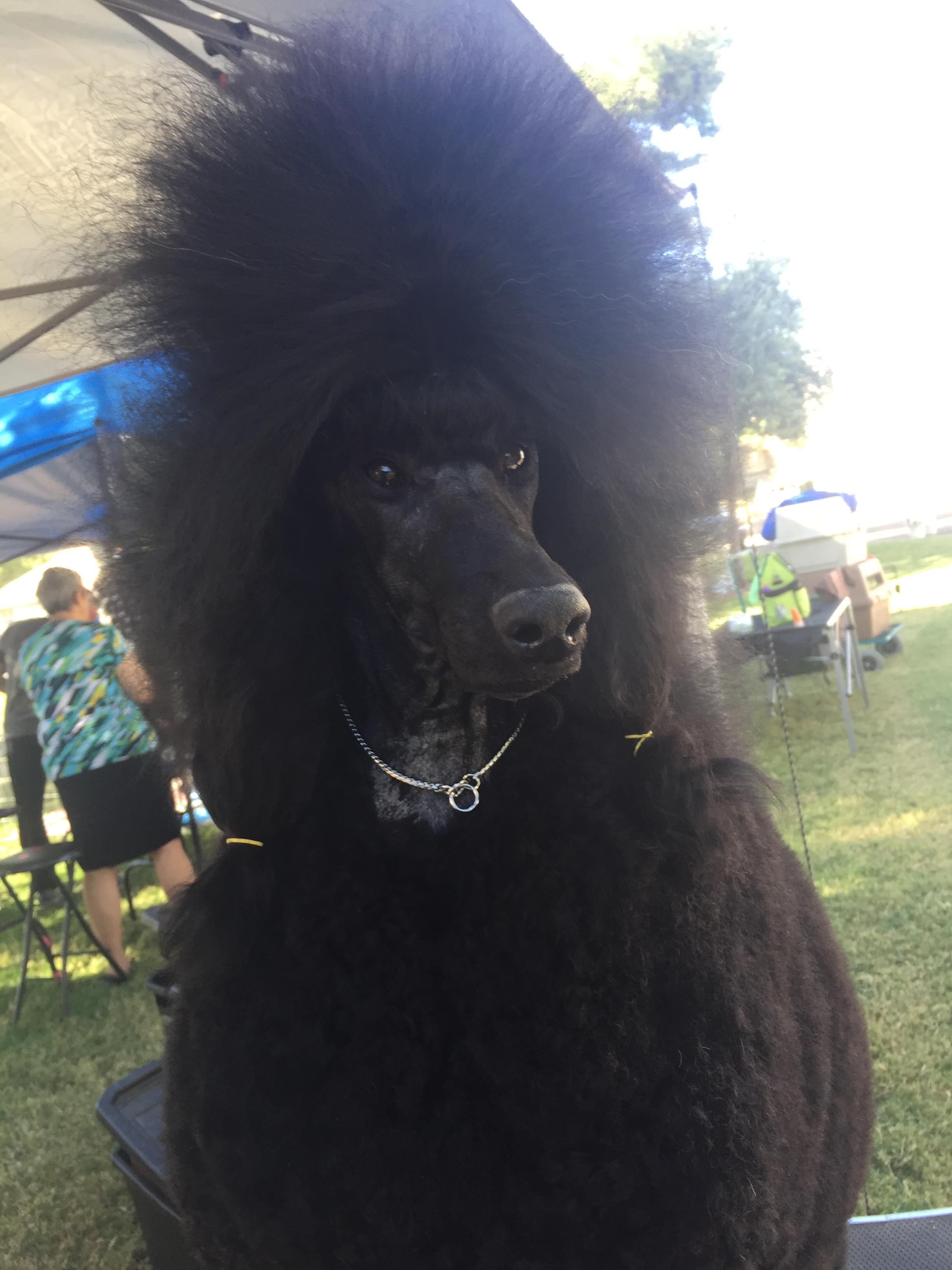 Max