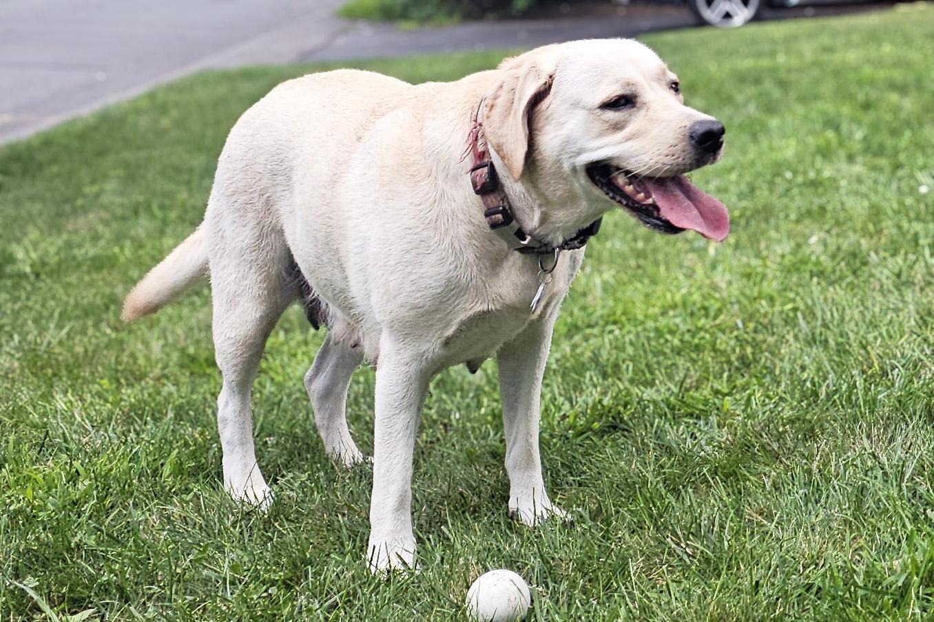 Lucy