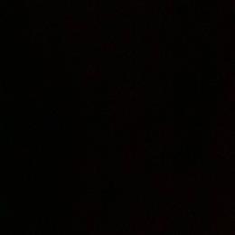 RA2 - Black tri-color male Australian Shepherd puppy in Ada, Ohio from Windy Hill Aussies