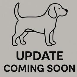 Blossom - Black white and tan female Beagle puppy in Rose Bud, Arkansas from Rajun Cajun Kennels