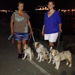 Australian Shepherd All Grown Up from Settlers Australian Shepherds