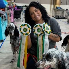 English Setters from Urban Uplander English Setters