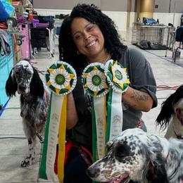 English Setters from Urban Uplander English Setters
