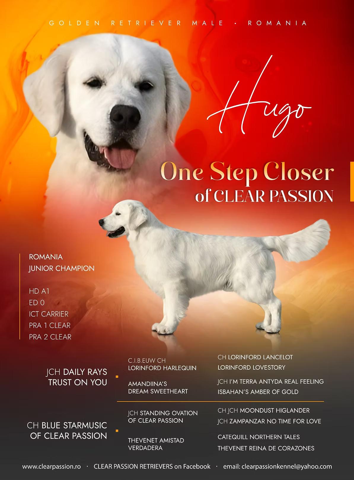 Hugo