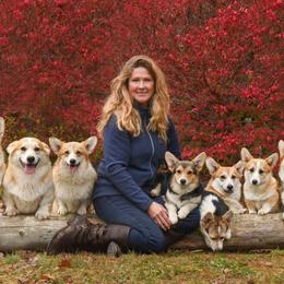 German Shepherds and Pembroke Welsh Corgis from Corgi Bliss Pembroke Welsh Corgis