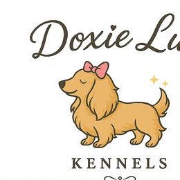 Dachshunds from Doxie Lux