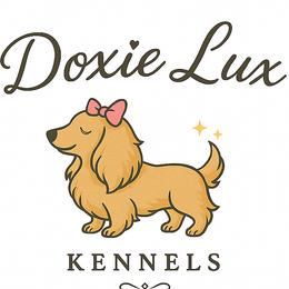 Dachshunds from Doxie Lux