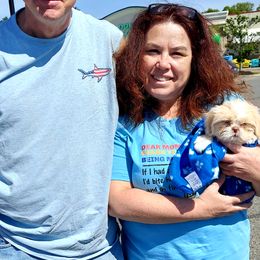 Shih Tzu Puppies from Nickerson Farms Shih Tzu & Imperial Beauties LLC.