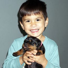 Rottweiler and Shetland Sheepdog Puppies from Mountain High Kennels