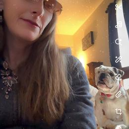Bulldog Puppies from Snuggle Pups