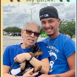 Biewer Terrier and Yorkshire Terrier Puppies from Southeast Biewers