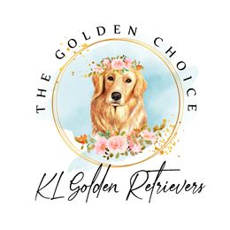 Golden Retrievers from KL Golden Retrievers