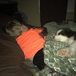 Australian Shepherd Puppies from Soggy Bottom Farms