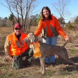 Weimaraners from Sindar Weimaraners