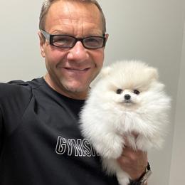 Archie - White male Pomeranian puppy in Charlotte, North Carolina from Kouture Pomeranians