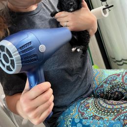 Poodle Puppies from Reuter Clan Poodles