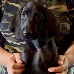 Boy 5 - Black male German Shorthaired Pointer puppy in Aitkin, Minnesota from Whispering’s GunDogs