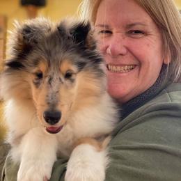 Collie Puppies from Plum Creek Collies