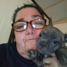French Bulldog Puppies from Texas Express French Bulldogs