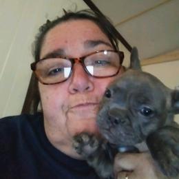 French Bulldog Puppies from Texas Express French Bulldogs