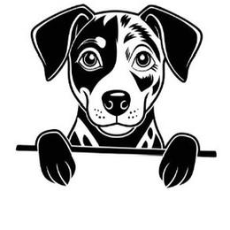 Boy 1 - Blue male Catahoula Leopard Dog puppy in Gadsden, Alabama from Rich Cat’s